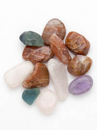 ��������. ���������. 8024-4��